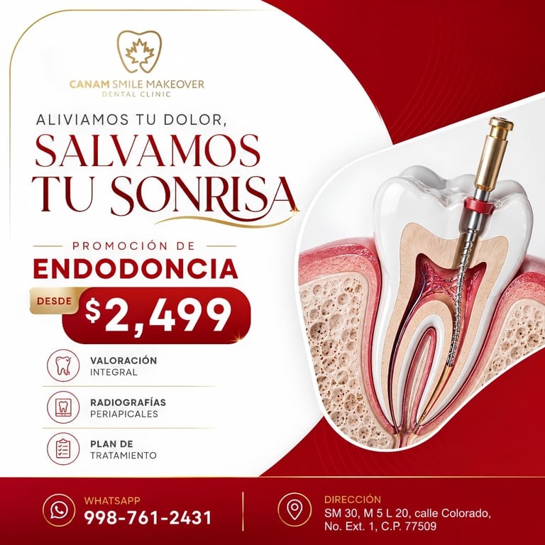 Dental endodontics promotion flyer offering root canal treatment from $2,499 with tooth cross-section diagram and clinic contact details